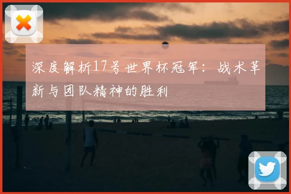 深度解析17号世界杯冠军：战术革新与团队精神的胜利