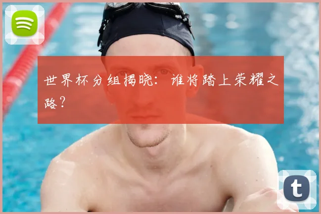 世界杯分组揭晓:谁将踏上荣耀之路?
