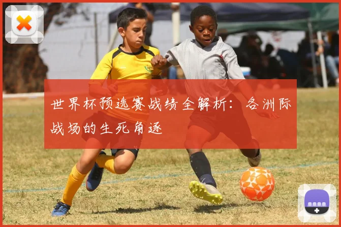世界杯预选赛战绩全解析:各洲际战场的生死角逐