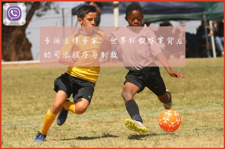 专访法律专家:世界杯假球案背后的司法程序与制裁