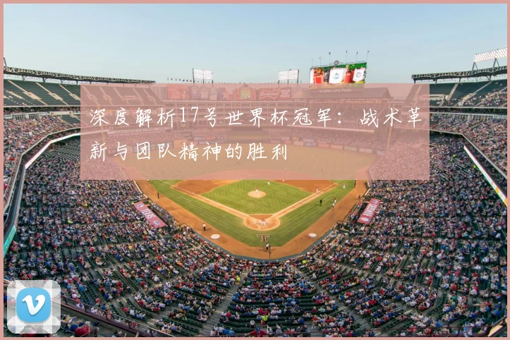 深度解析17号世界杯冠军：战术革新与团队精神的胜利