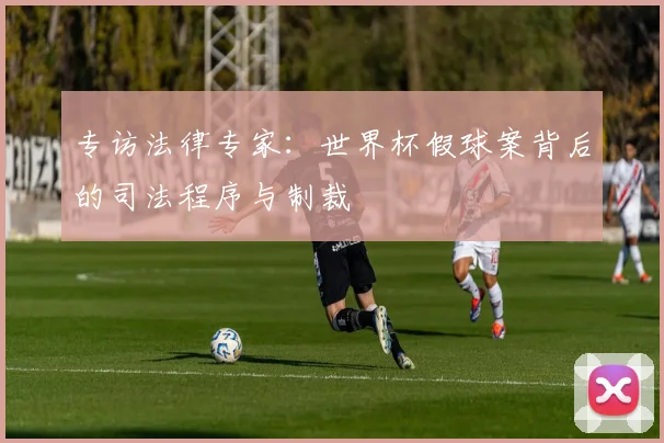 专访法律专家：世界杯假球案背后的司法程序与制裁