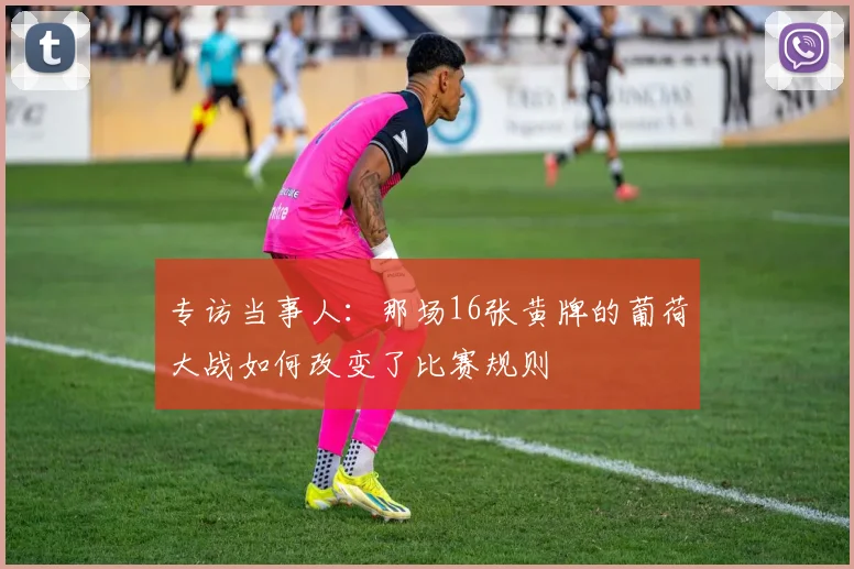 专访当事人:那场16张黄牌的葡荷大战如何改变了比赛规则